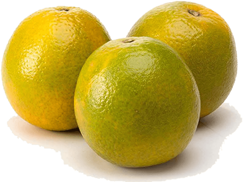 Laranja Pera, Fruta Seal Hortifruti