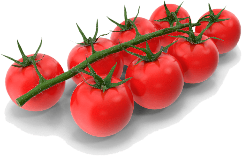 Tomate Coquetel, Tomate coquetel Seal Hortifruti