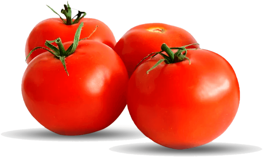 Tomate Longa Vida, Tomate Seal Hortifruti